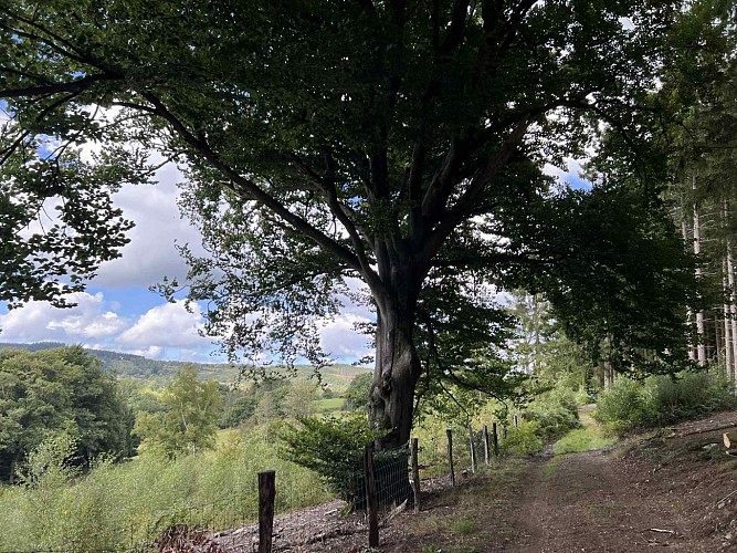 Moulin-odeigne-oster