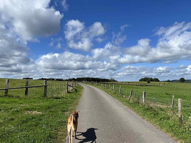 Moulin-odeigne-route