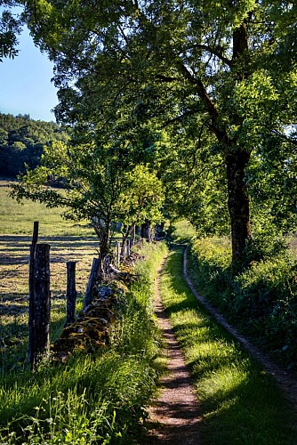 Le chemin de la Bouyssière à Bournazel