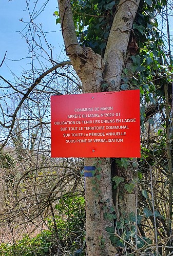 Randonnée : Boucle des vignes_Marin