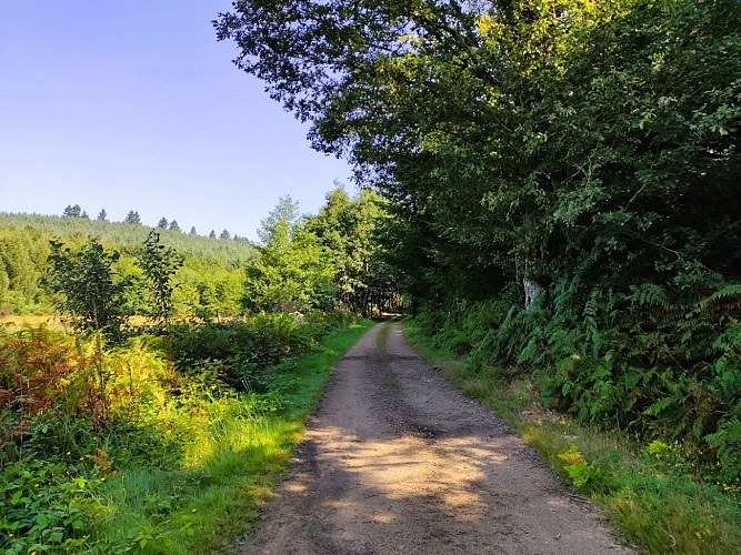 Champnétery - Circuit des cimes - Pays Monts et Barrages - Aurélien Clavreul (7) - copie