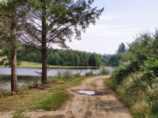 Champnétery - Étang de Grosland