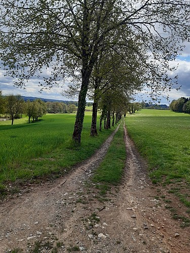 chemin