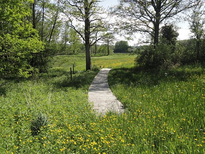 Sentier du bois des Chapelles