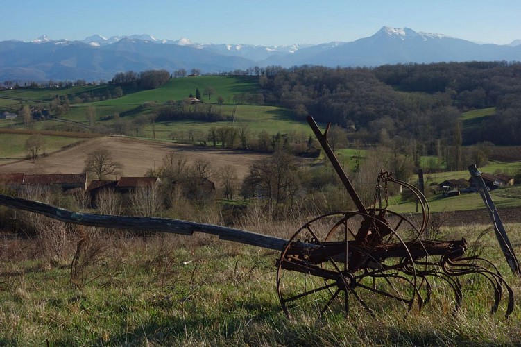 Vue sur les Pyrénées depuis les coteaux