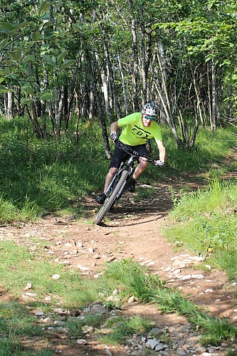 Single dans les sous bois