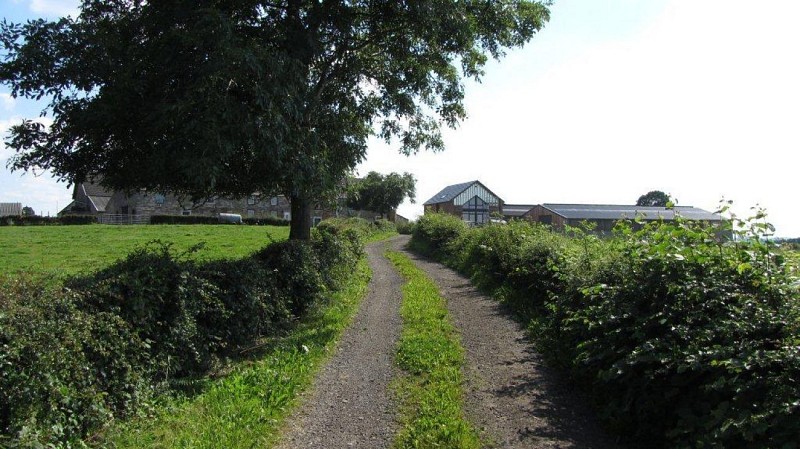 Baelen: Balade autour du village