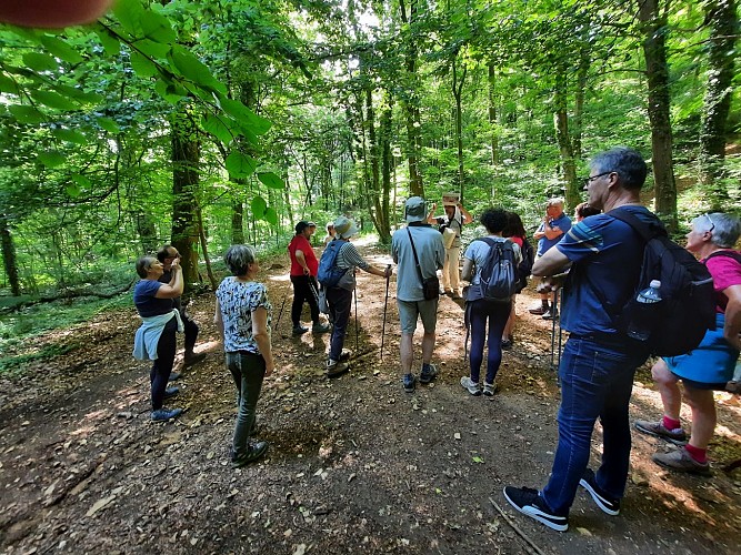 rando entre mont césar et marais
