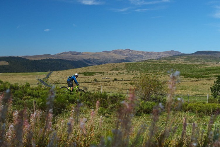 Circuit VTT sur la planeze