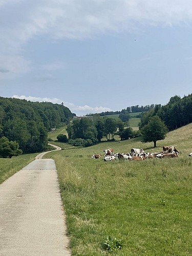Lé bénéfice du Doubs