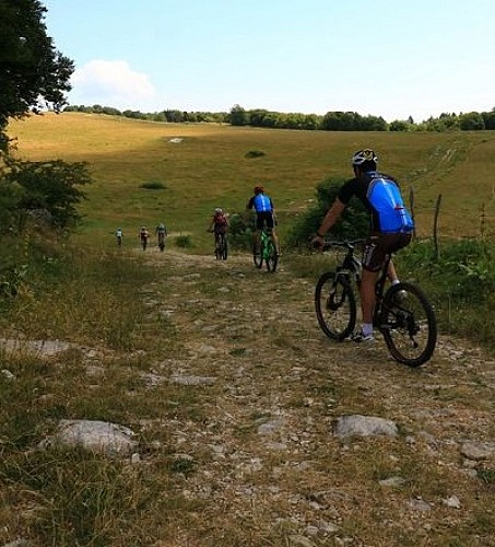 Mountain bike trail 11 - Le tour de la Chèvre - Espace FFC Ain Forestière
