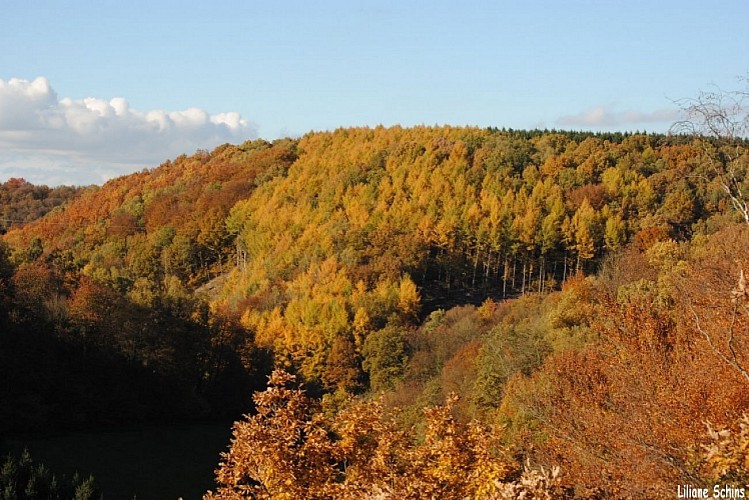 Limburg: in the vicinity of Napoleon's Nose