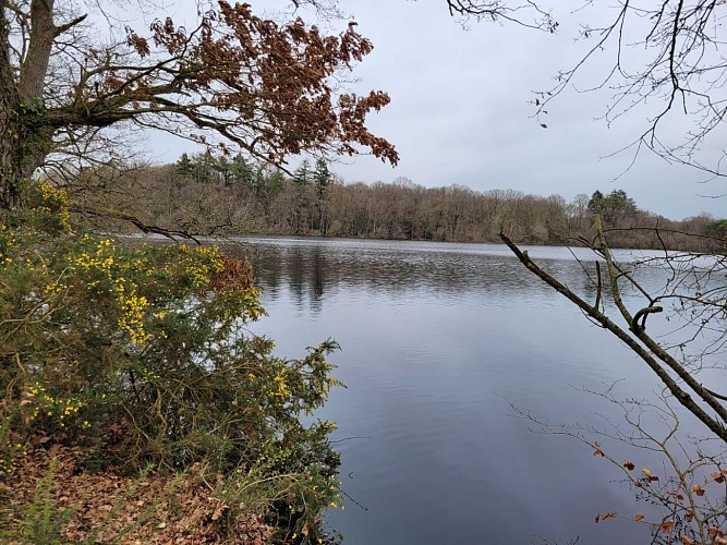 Tinténiac : circuit du pont à l'Abbesse (circuit long)