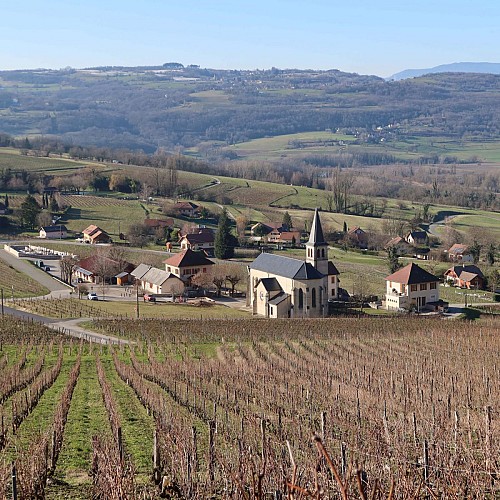 Jongieux depuis les vignes de Marestel
