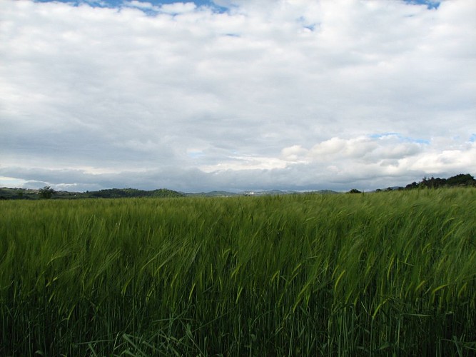 Le sentier des Ayasses et des Groles