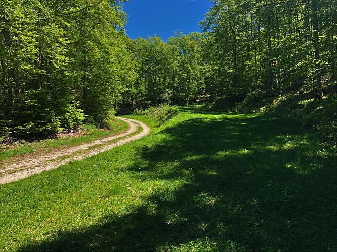 MTB track 14 red - Retord - les balcons du Mont Blanc - Espace FFC Ain Forestière