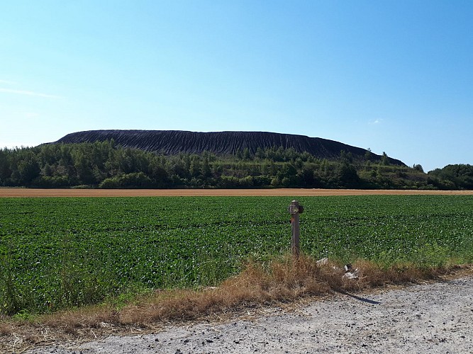 Les Briques, Au départ d’Auchy-les-Mines