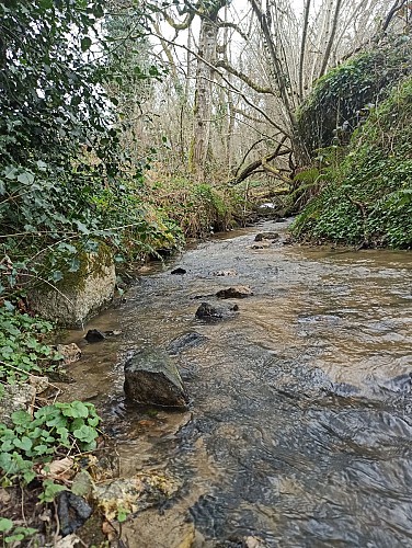 Le ruisseau de la Bertrandie