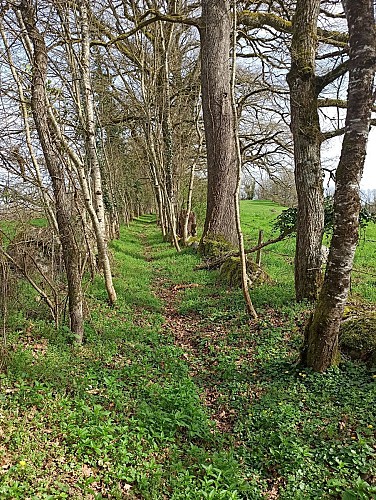 Sentier après le pont