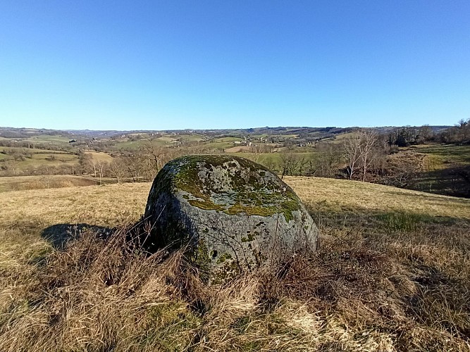 Le fauteuil de la Bergère