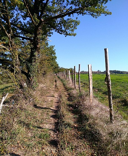 Chemin vers Dubriés