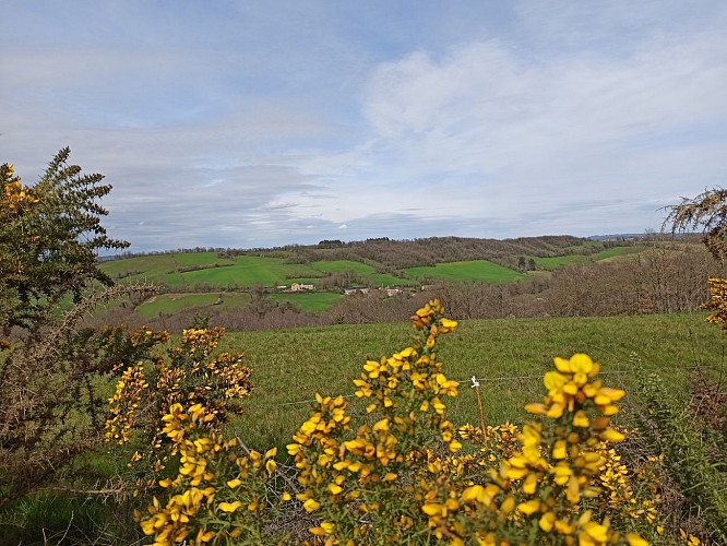 vue sur la Bertrandrie