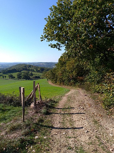 Chemin vers Cassemauron