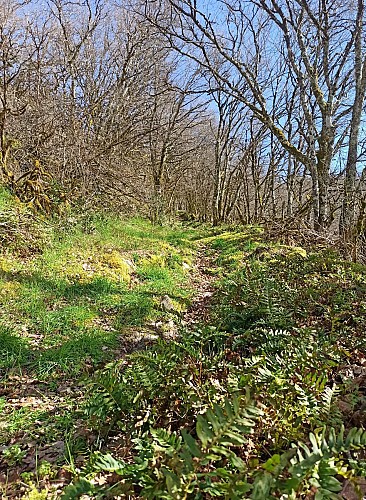 Vue sur la vallée