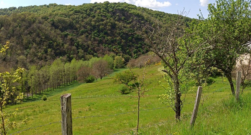 Echelle fin du chemin de Longcol