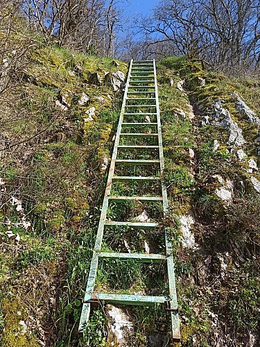 Chemin après l'échelle