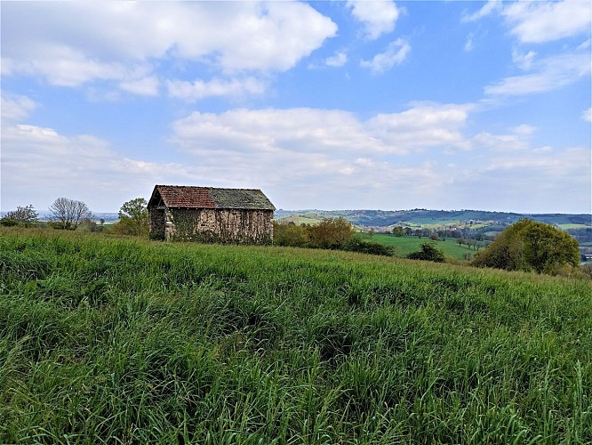 Cabanon route des Crémades