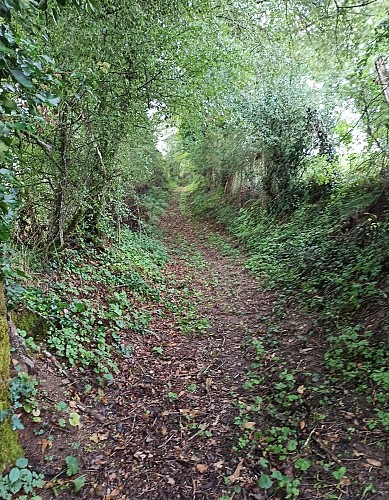 Sentier de la Sagette