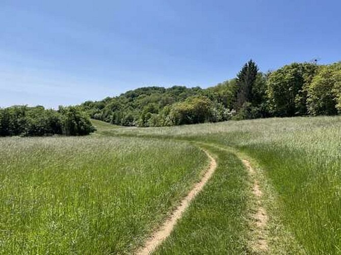 Les coteaux de Ludres