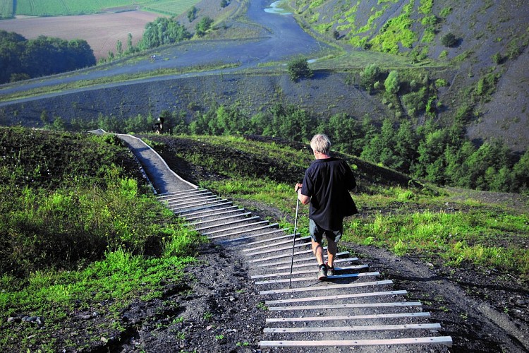 Les Noirs Monts, Au départ de Ruitz