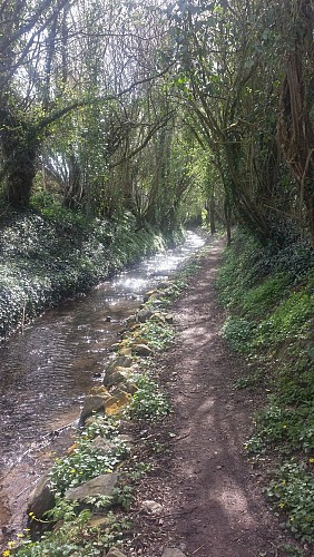 La Coqueline, Au départ d’Amettes