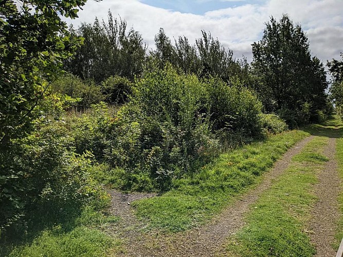 Le Moulin « à Pano » Au départ de Burbure / Allouagne