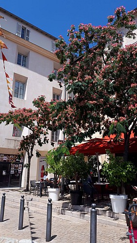 Rue quartier Saint-Charles