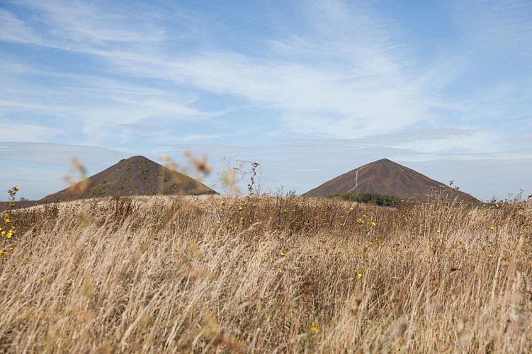 Les terrils du Pays à part