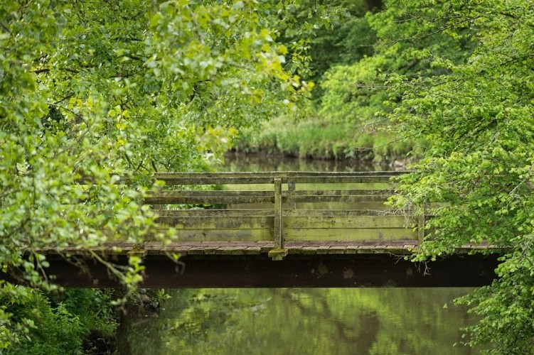 Pont Couesnon