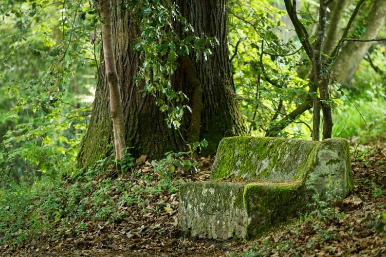 Chemin des Comtesses - Vallée du Couesnon 