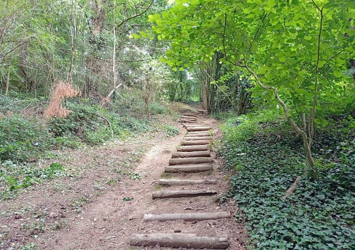 Escalier-Vallée du Couesnon