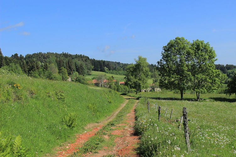 Chemin des forêts