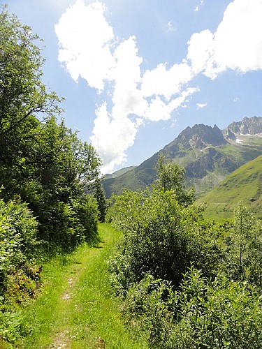 Parcours VTT enduro "La Roue Quine"