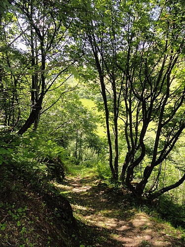 Parcours VTT enduro "La Roue Quine"