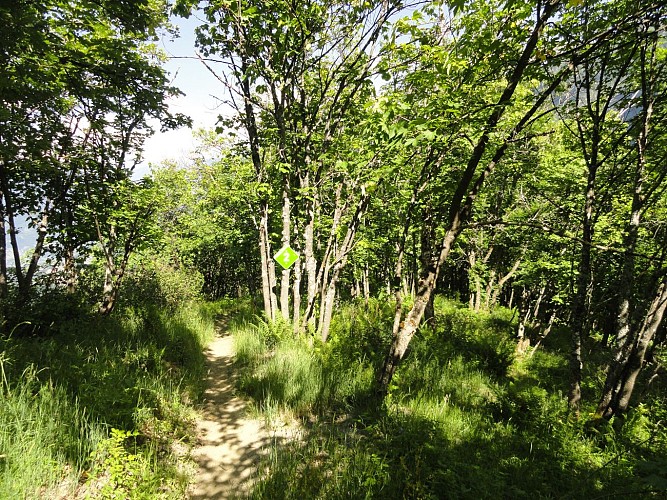 Parcours VTT enduro n°24 La Roue Quine