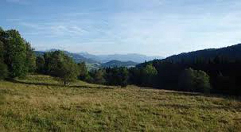 I pascoli di Herpettaz