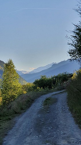 Wanderroute: Sentier des Vignes (Weinbergpfad)