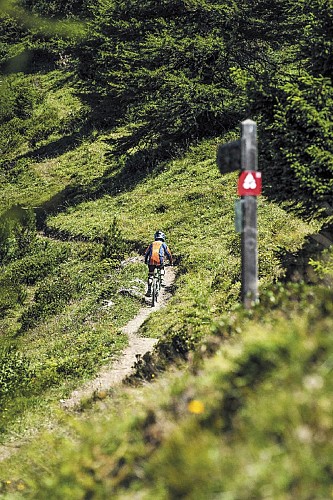 Enduro  : L'Art de la Selle