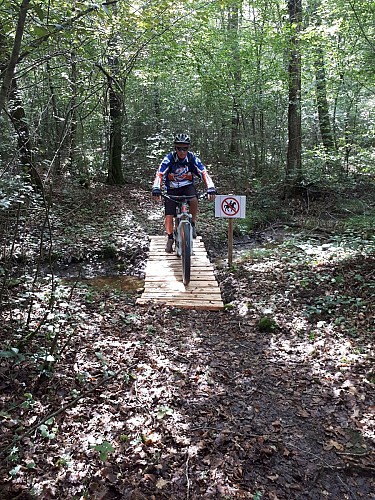 Circuit VTT feuillage