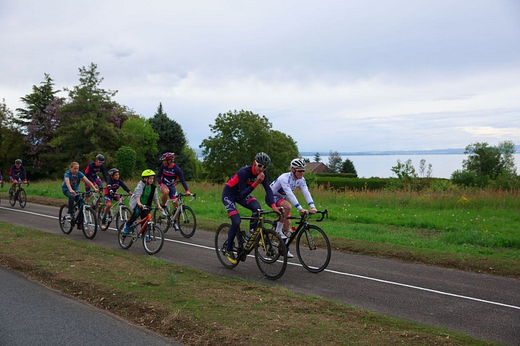 Circuit VTT feuillage